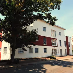 Two-story commercial building with white and red exterior under clear sky, shaded by a large tree in front.